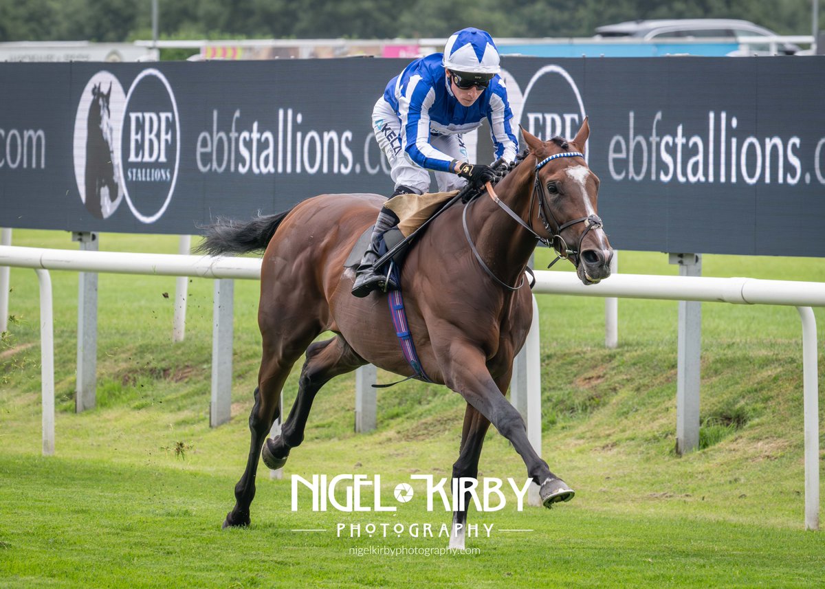 Nigel Kirby Photography (@nigekirby) on Twitter photo THE CURSOR earned a free Betfred St Leger entry when winning the Darley EBF Novice Stakes at <a href="/DoncasterRaces/">Doncaster Racecourse</a> for Andrew Balding and King Power Racing under <a href="/_JasonWatson/">Jason Watson</a> THE CURSOR earned a free Betfred St Leger entry when winning the Darley EBF Novice Stakes at <a href="/DoncasterRaces/">Doncaster Racecourse</a> for Andrew Balding and King Power Racing under <a href="/_JasonWatson/">Jason Watson</a>
