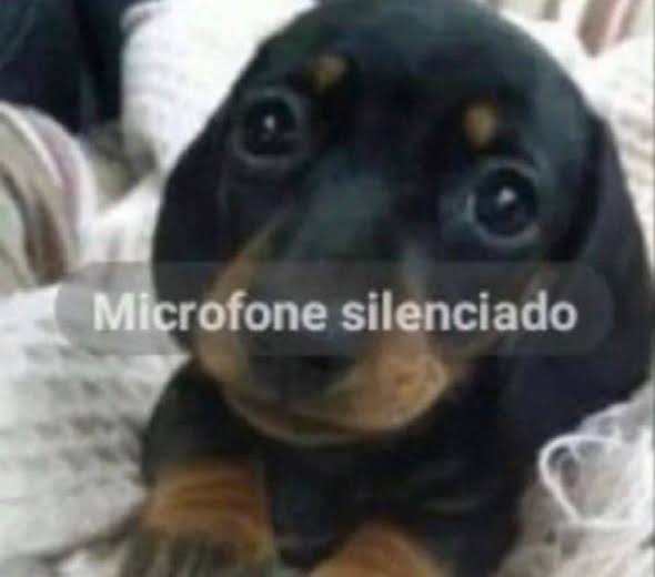 ThamiresQLima's tweet image. “Isso tá me incomodando muito”
“E o que você pode fazer?
“Nada”
“Então pq você tá tão incomodada?”