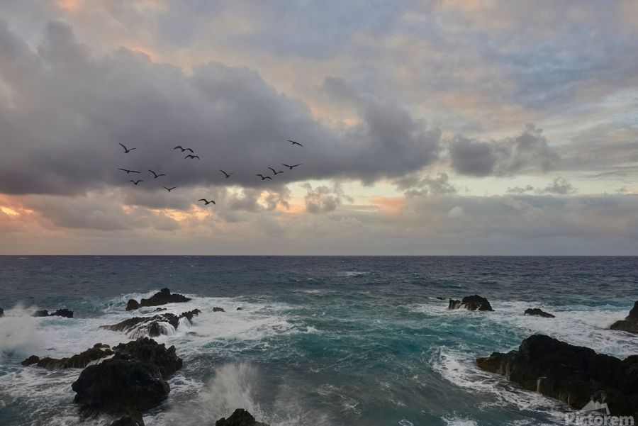 ImagesByJonEvan's tweet image. Photography from Hawaii is great way to decorate your walls #art #landscapephoto #naturelovers #artlover #photography #travel #vacation #hawaii #homedecor #wallart #art4sale #hawaii #nature #giftideas Please refer to link for info and pricing buff.ly/3XfSLqr