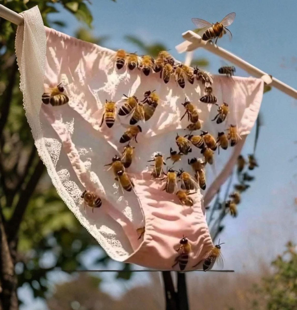miss_moxxa92's tweet image. …..Dicen , Cuando la miel es buena, la abeja siempre vuelve:🤭…….
👇🏻👇🏻👇🏻👇🏻👇🏻👇🏻👇🏻👇🏻👇🏻👇🏻👇🏻👇🏻