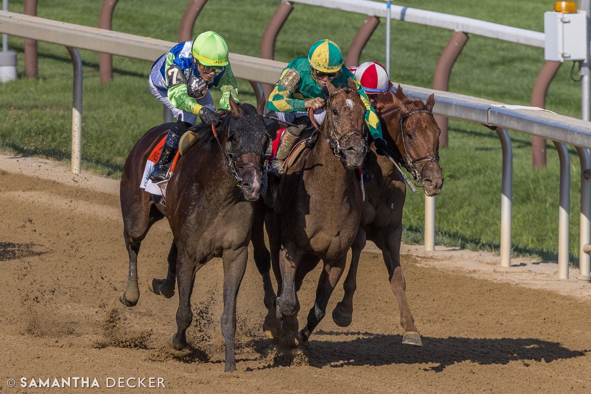 sdeckerphoto's tweet image. It was a thrilling renewal of the Curlin Stakes today at the Spa! So Sandy, Chancer McPatrick, and Strategic Focus battled down the stretch with the middle prevailing by a head with Irad Ortiz onboard for the first time. The Chad Brown trainee is now 3-for-4 at Saratoga!
Shot…