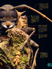 ブリタニカ・ブックス　宇宙の誕生から現代まで 138億年のこども大百科 [ クリストファー・ロイド ]
価格：6,380円（税込、送料無料)

a.r10.to/hPYoez