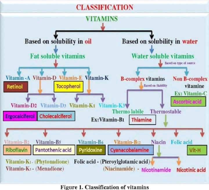 Propharm7's tweet image. ๐ก Classification of Vitamins