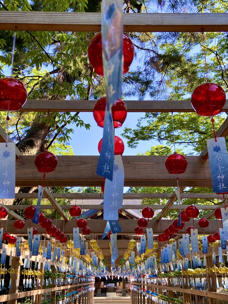 yuu＊＊ スカイブルーXS ALL STAR US AGEDCOLORS HI / オールスター US エイジド