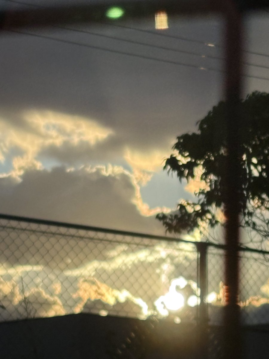 夏の空
