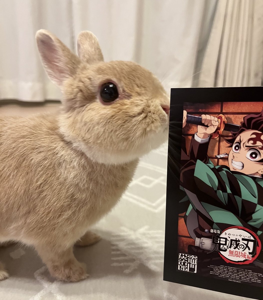 mimimi33chan's tweet image. やったー！炭治郎くん😆
映画、面白かったです✨
 #鬼滅の刃 #鬼滅の刃無限城編