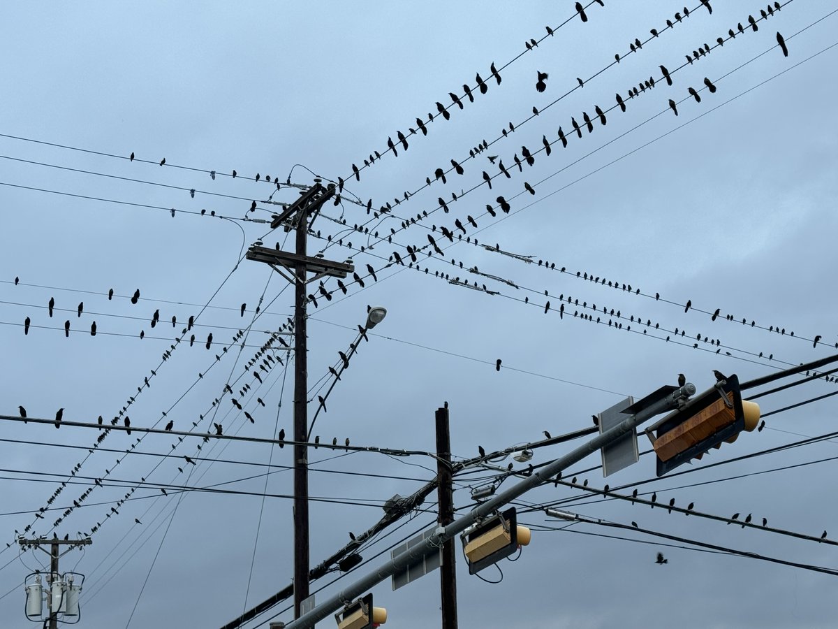NptexasNancy's tweet image. I took this while in the car one day