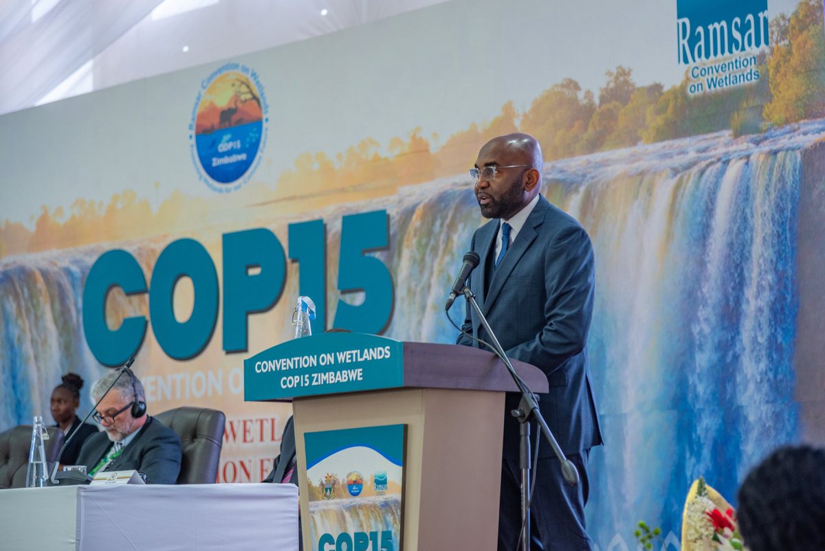 CIFOR-ICRAF West and Central Africa (@cifor_icraf_wca) on Twitter photo « Les zones humides sont une source de vie et de solutions — lorsque la science est partagée librement et que les communautés locales sont placées au cœur des décisions. »
<a href="/elianeubalijoro/">Eliane Ubalijoro</a>
CEO, CIFOR-ICRAF.
#RamsarCOP15 #WetlandsMatter « Les zones humides sont une source de vie et de solutions — lorsque la science est partagée librement et que les communautés locales sont placées au cœur des décisions. »
<a href="/elianeubalijoro/">Eliane Ubalijoro</a>
CEO, CIFOR-ICRAF.
#RamsarCOP15 #WetlandsMatter