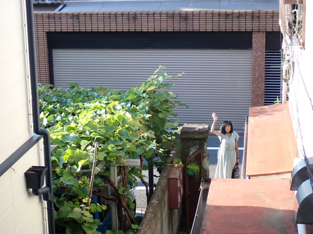 Onoe_Akira's tweet image. 國學院大學博物館の売店の本棚にて見付けたる阪本是丸先生の書かれたる「神道と学問」を引き続き拝読。神職にして大學教授なる筆者。昔は存在せし個性的な神職の不在、神社人の官僚化の是非、高等神職養成の問題点など、神社界、教育界、今を生きる人らの姿を語る。物の見方の多様なる視点を学ぶ思ひ。
