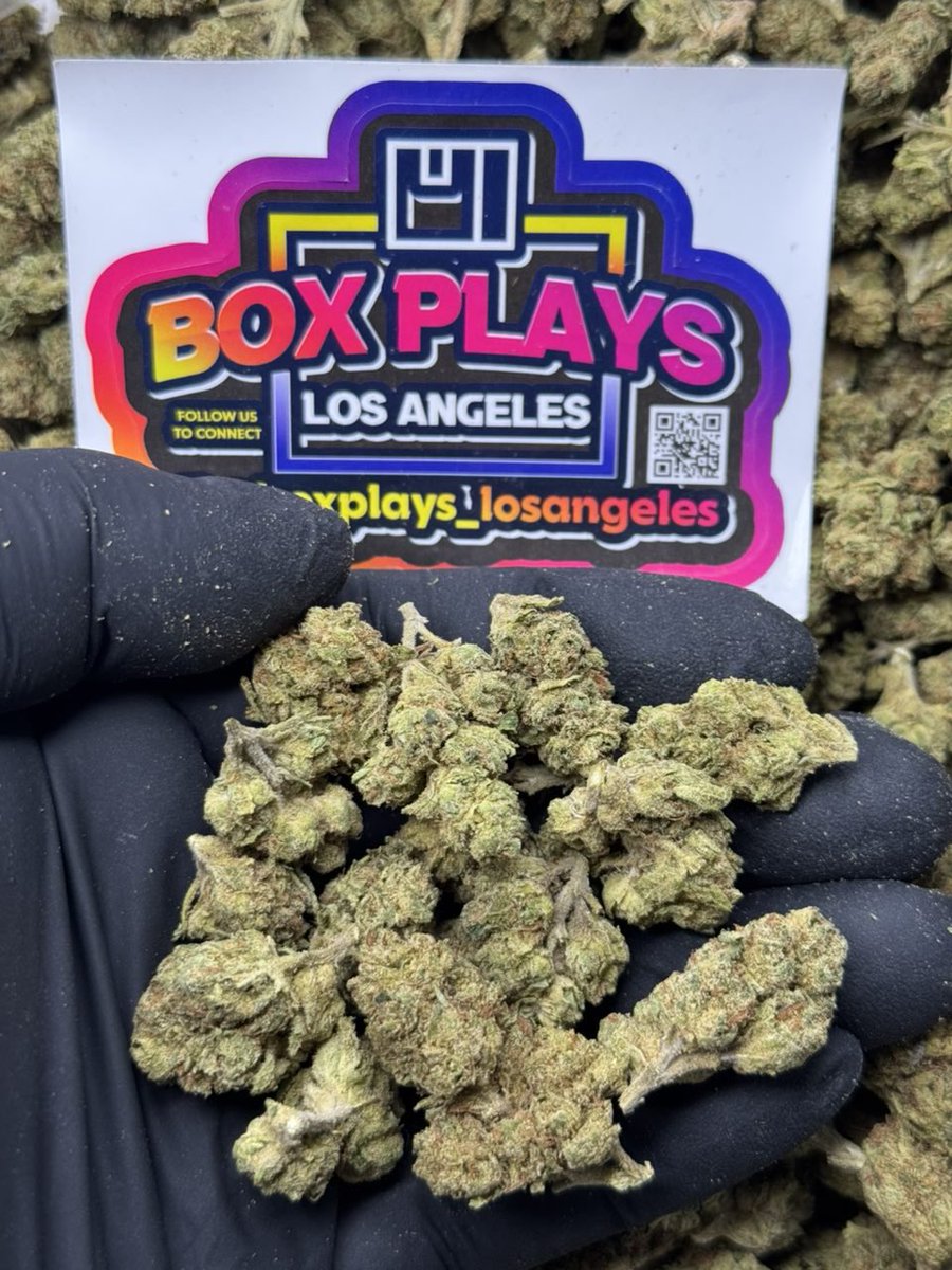 WHITE GUAVA MEDIUMS 
+1 (530)448-8294 📲