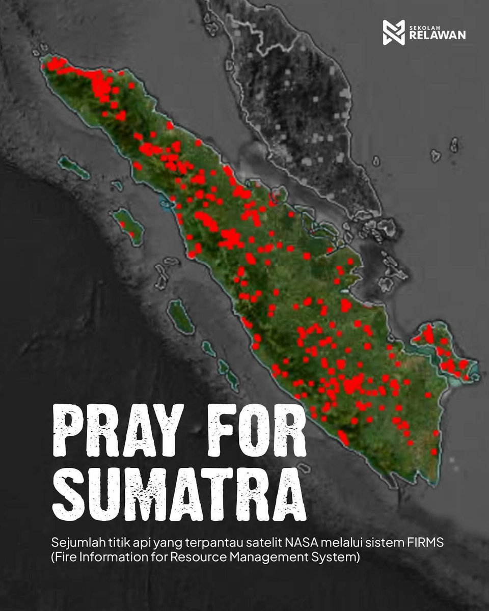 ferizandra tweet media