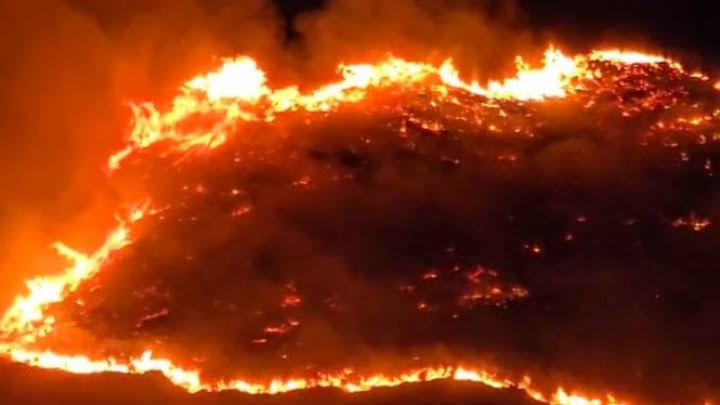 ferizandra tweet media