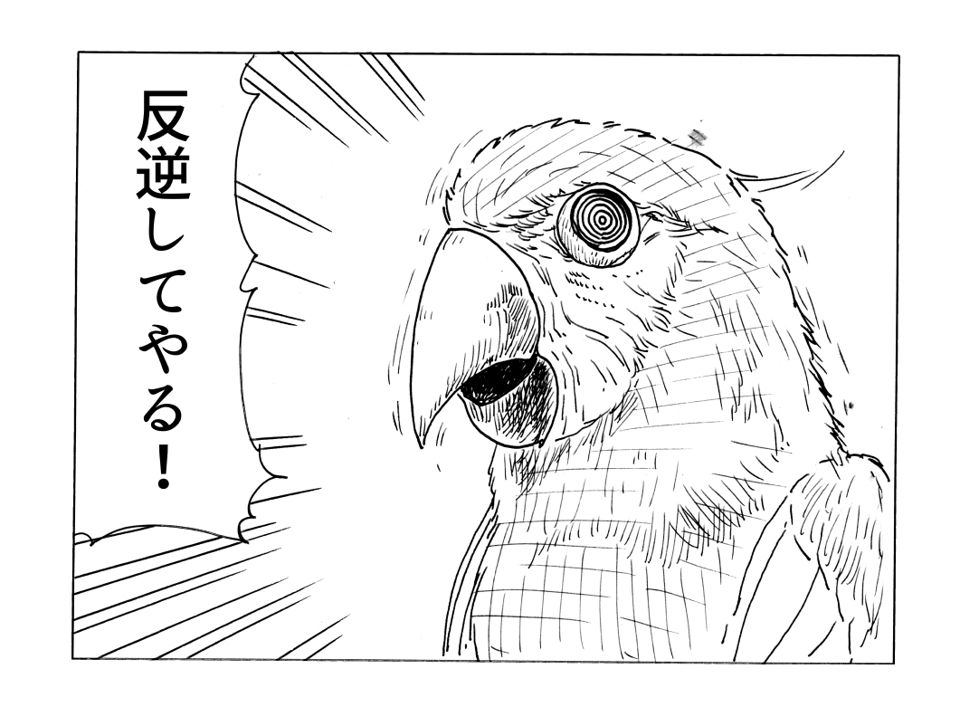 ajico_k's tweet image. オウムの法則だけに、抵抗をするオウムです

反逆をしたいときなどご自由にお使いください