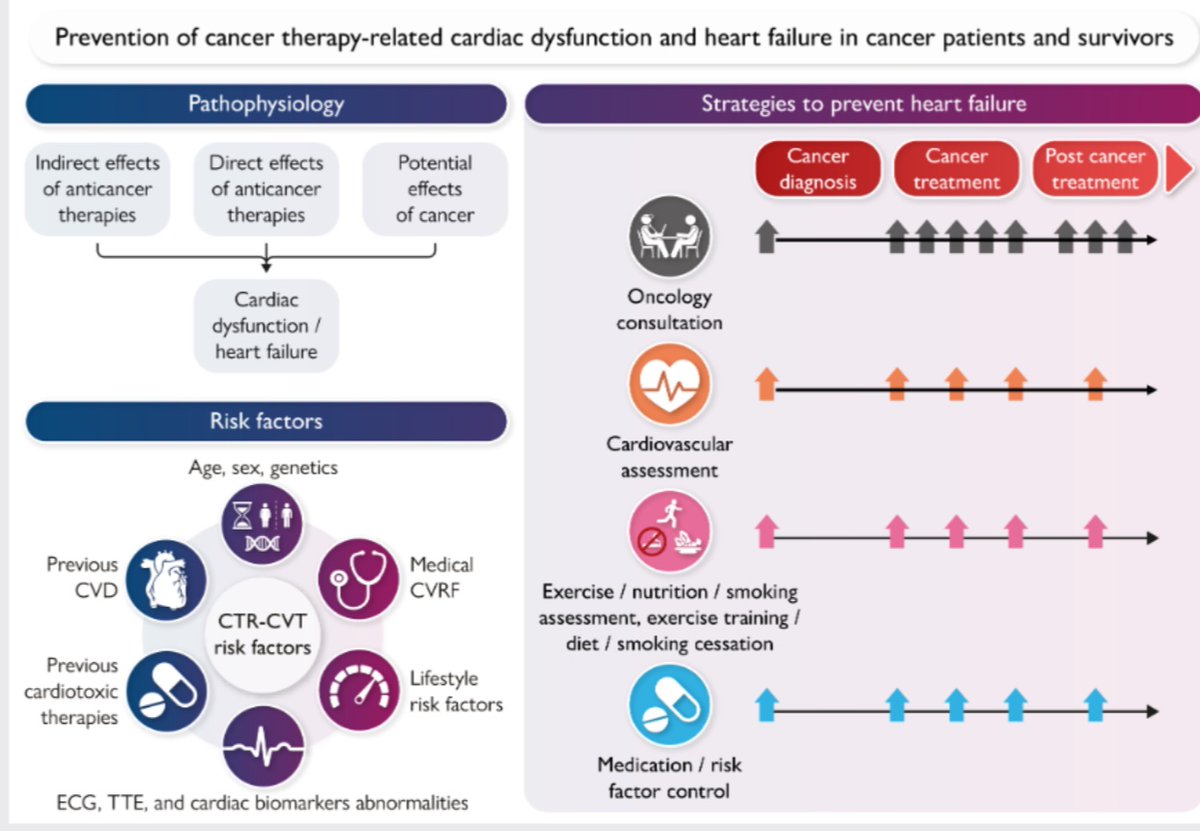 EJHFEiC's tweet image. Prevention of cancer therapy-related cardiac dysfunction and heart failure in cancer patients and survivors. A Clinical Consensus Statement of #HFA
onlinelibrary.wiley.com/doi/10.1002/ej… @ARakisheva
#EJHF
@HanCardiomd @AmrAbdin10 @GiuseppeGalati_