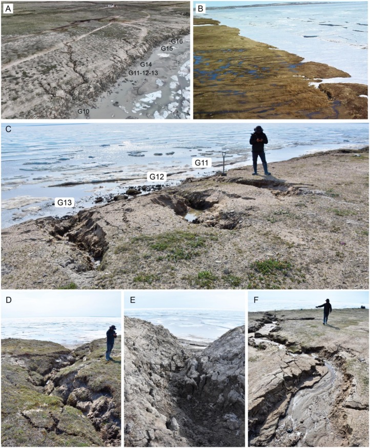 DalHydro's tweet image. New open access paper in Geomorphology led by Drs. Sam Gagnon (UQAR) and Steph Coulombe (Polar Knowledge Canada) & investigating how focused shallow groundwater flow drives piping and then surface collapse and gullying near Cambridge Bay, Nunavut sciencedirect.com/science/articl…