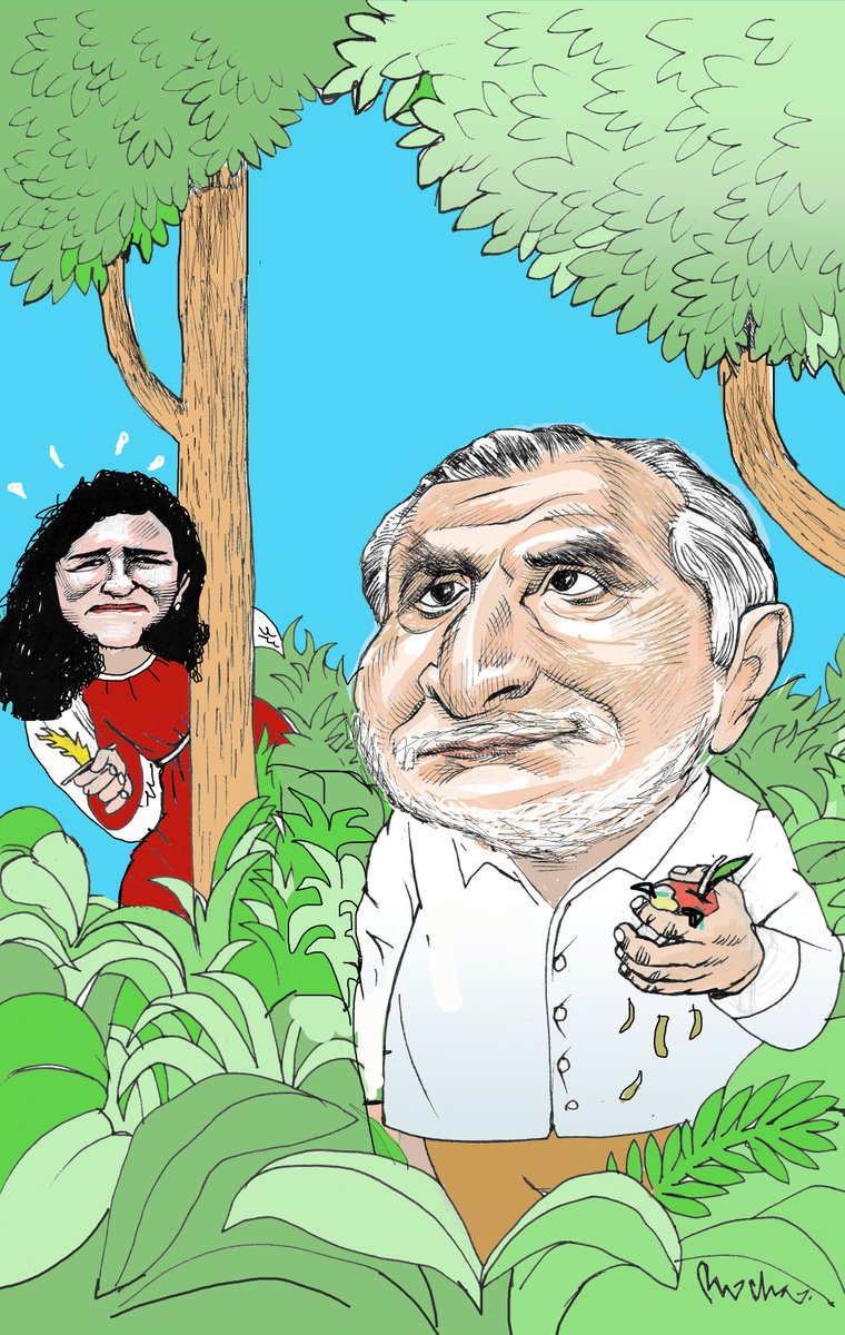 PLAGA EN EL EDÉN