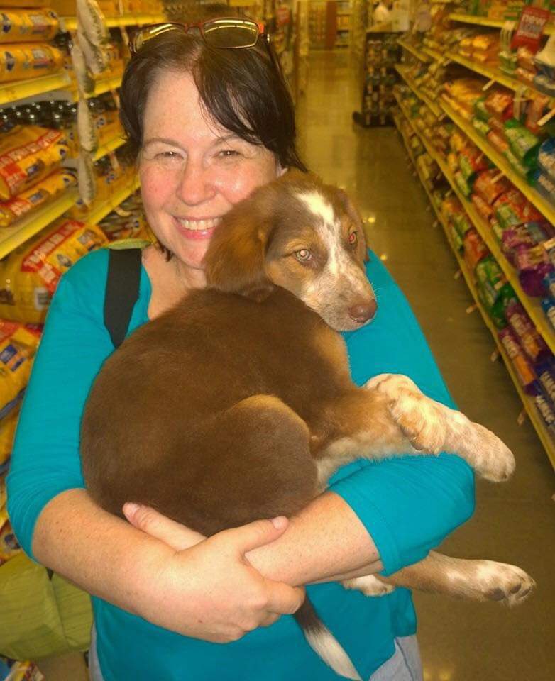 TraciRC60's tweet image. So, we have a very naughty mom, who forgot to post Grizzly
โS big day - it was his Gotcha Day yesterday. Nine years!!!
We love you, Grizz, and weโre lucky to be your family. โค๏ธ