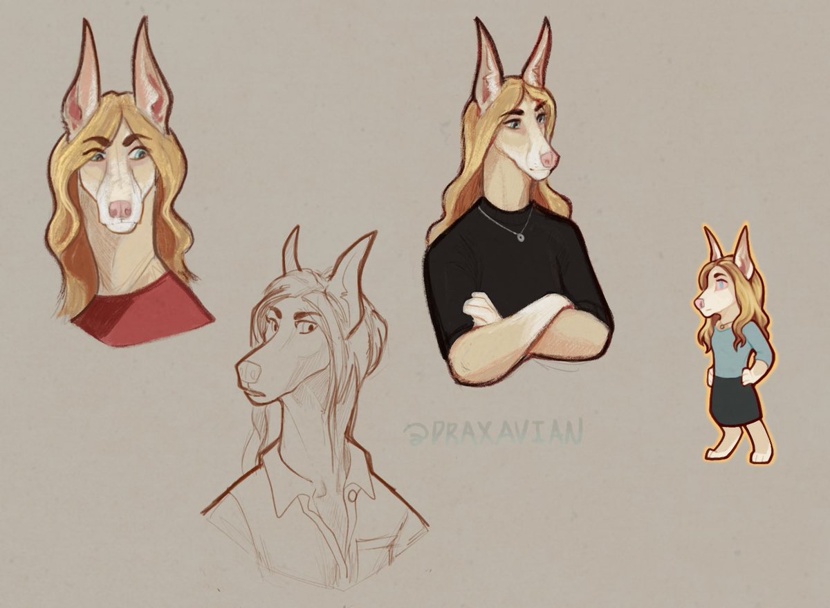 draxavian's tweet image. hmm ok it's time for KAREN. I like depicting her as a leucistic doberman; the rationale was something like they're pretty, but tough- like the vibe was just spot-on imo