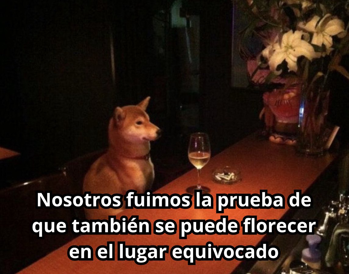 emociones amarillas (@conoloracigarro) on Twitter photo 