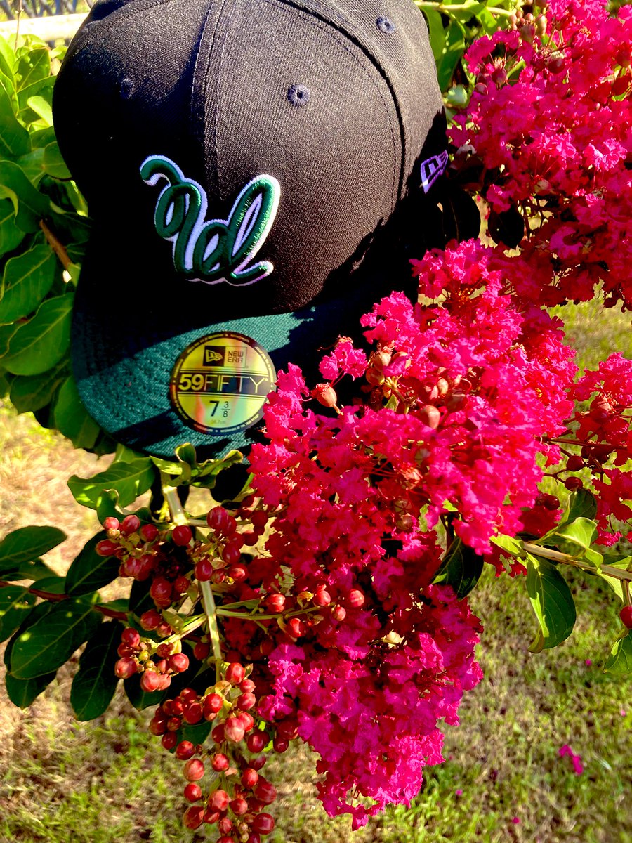 やoͥisͣoͫn (@mo4prezbc) on Twitter photo Been “daddin” pretty hard here lately today I got a minute to stop and smell the flowers. Big ups to <a href="/waterwhendry_/">water when dry™</a> and everyone on the team. Love the product and the message. 🧢
#FLOWERING Been “daddin” pretty hard here lately today I got a minute to stop and smell the flowers. Big ups to <a href="/waterwhendry_/">water when dry™</a> and everyone on the team. Love the product and the message. 🧢
#FLOWERING