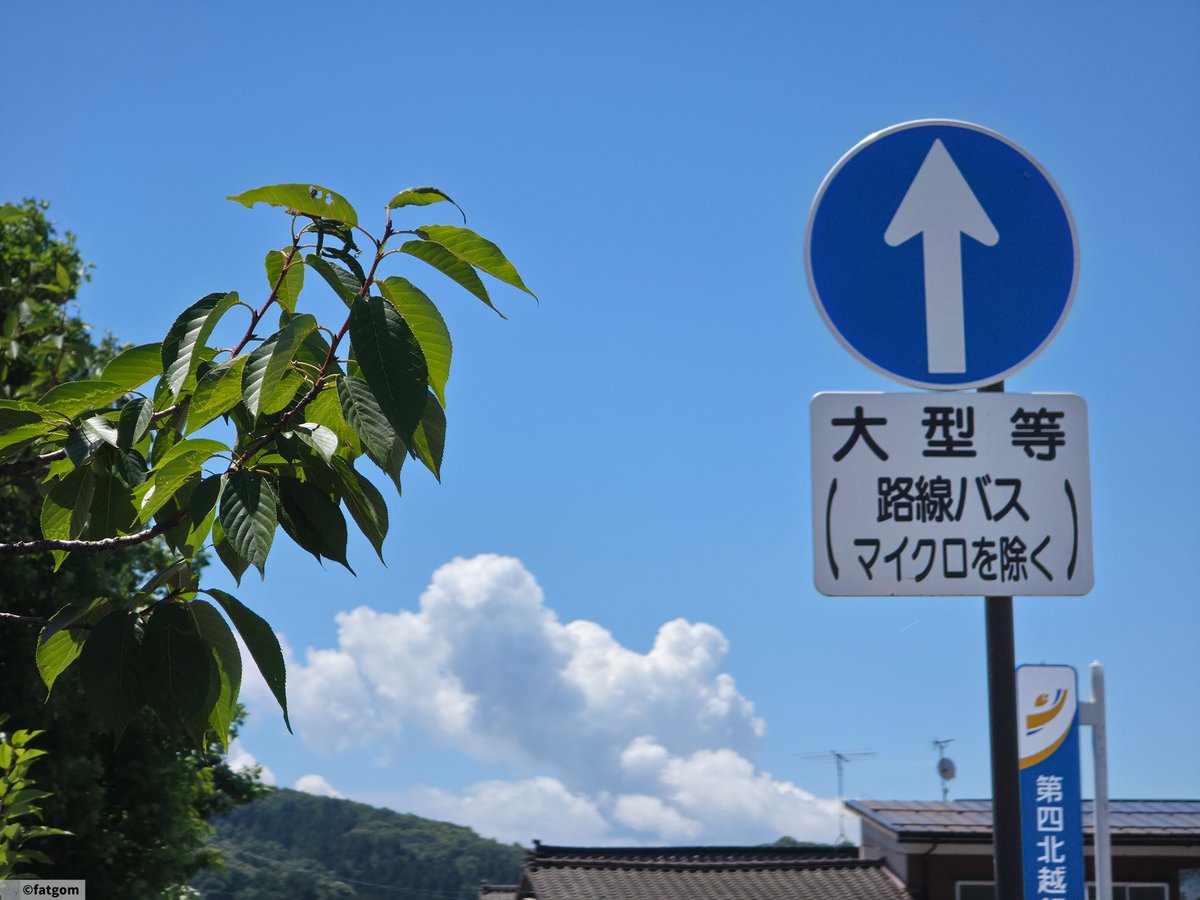 fatgom_jp's tweet image. 