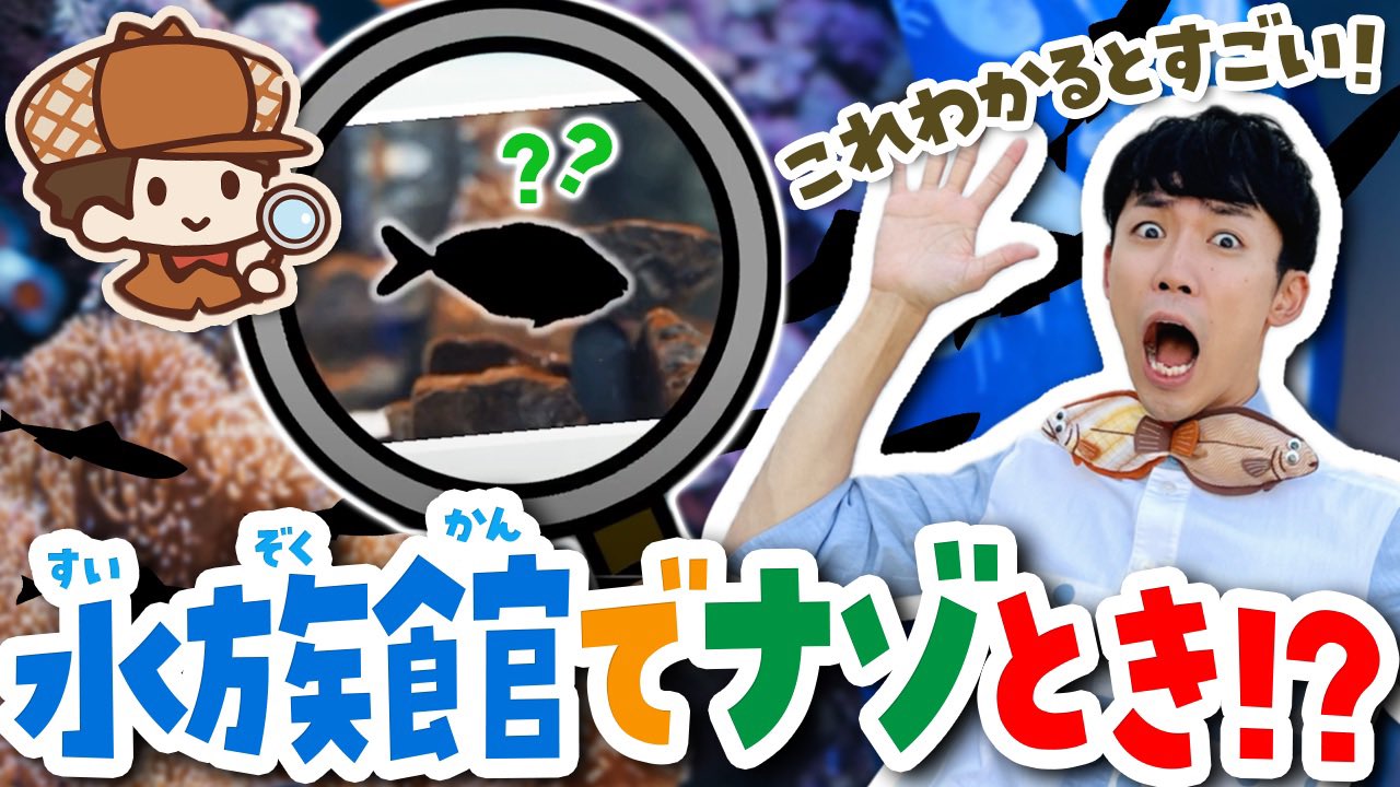さかなです さかなのおにいさん かわちゃん on X: 