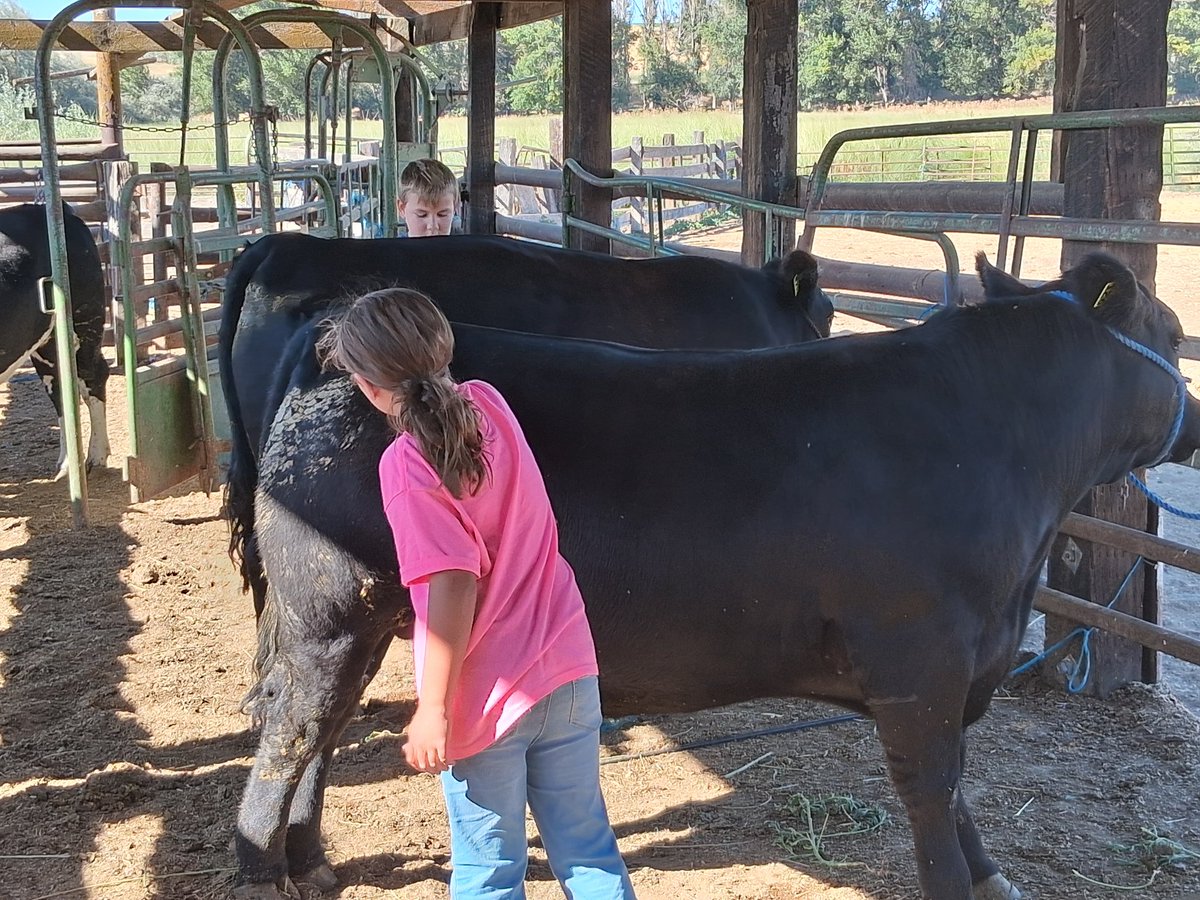 TheDailyCowman's tweet image. It is damn hard to beat being a Grandpa on a July afternoon on a cattle ranch.
#Blessed