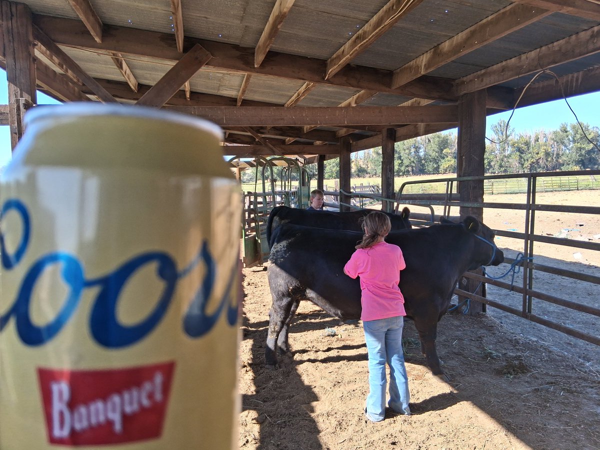 TheDailyCowman's tweet image. It is damn hard to beat being a Grandpa on a July afternoon on a cattle ranch.
#Blessed