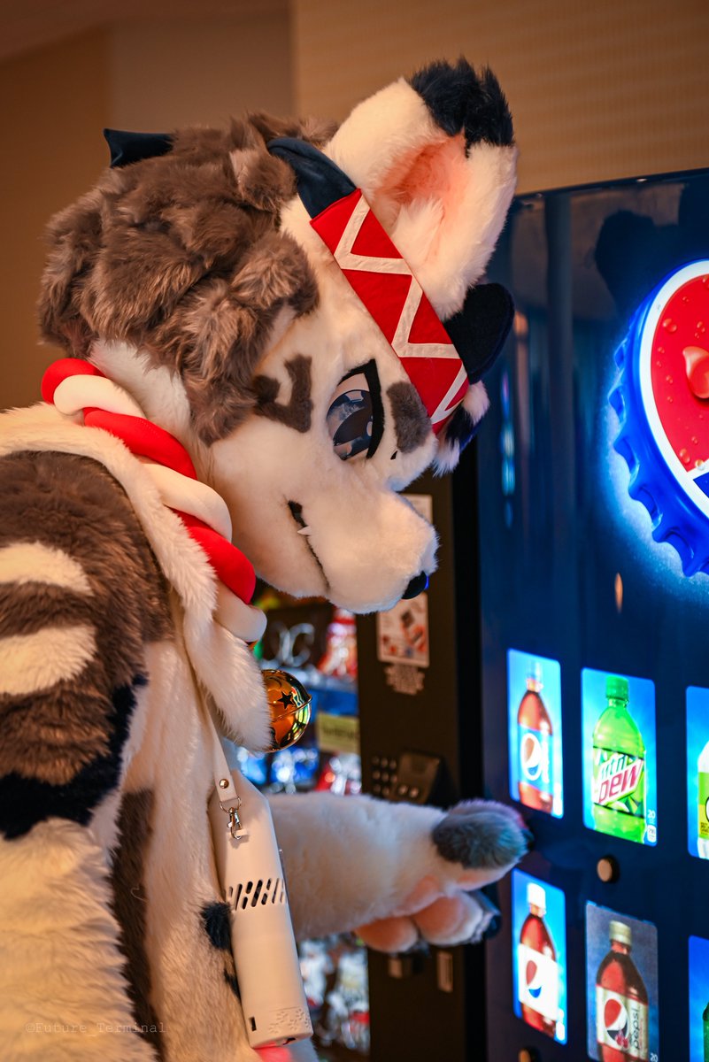 QDHfur's tweet image. 要喝冰可乐！
📸：@Future_Terminal