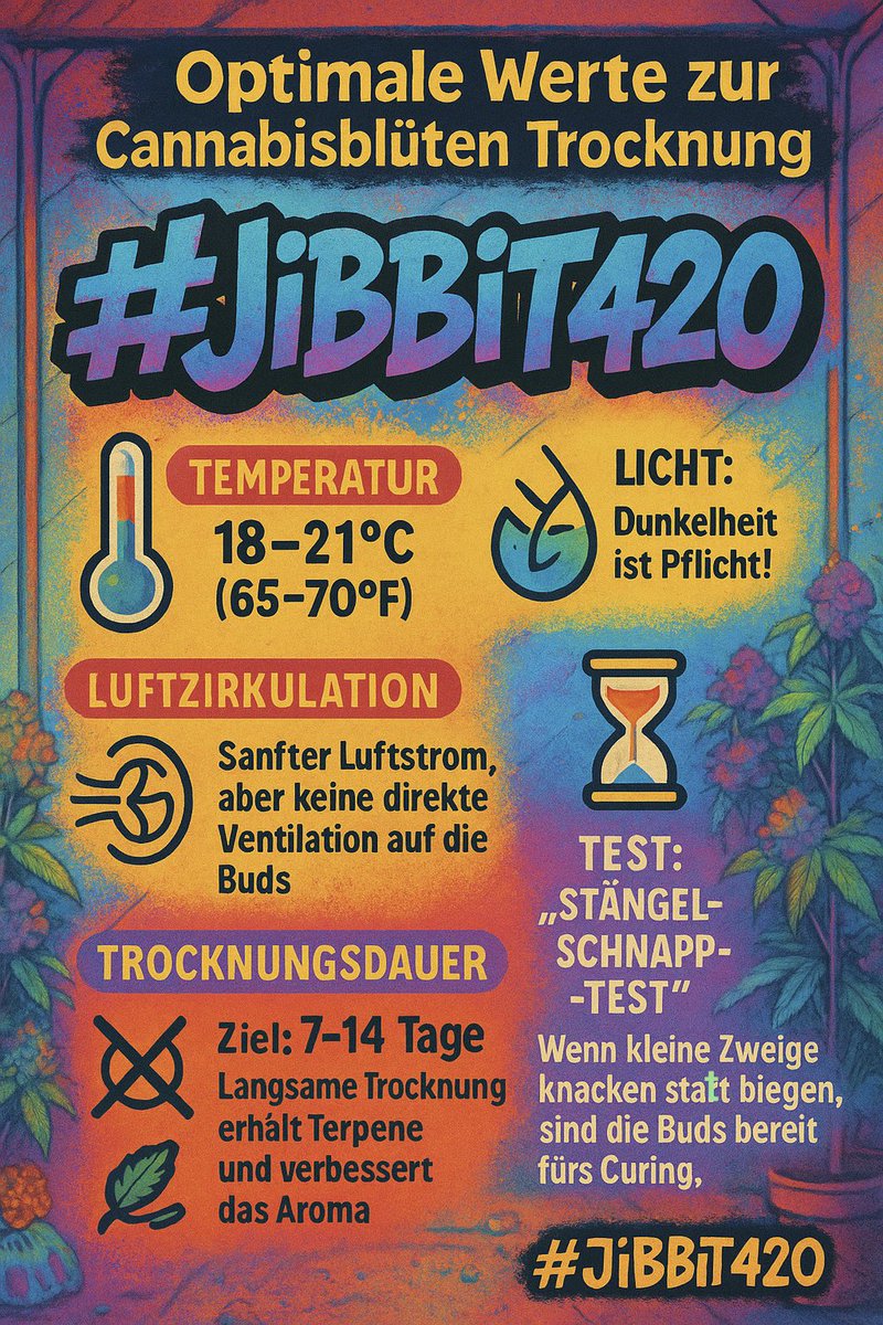 jibbit_420's tweet image. Schöne Pflanzen habt ihr!!!🌿💚🔥 ..aber wenn nicht richtig getrocknet war die Mühe umsonst..💪👇👇👇
#JiBBiT420 #CannabisTrocknung #DryingTips #WeedDrying #Growtipps #CannabisCommunity #HomeGrow #GrowGuide #DryAndCure #Trocknung #Cannabiswissen #WeedCultivation #420Germany…