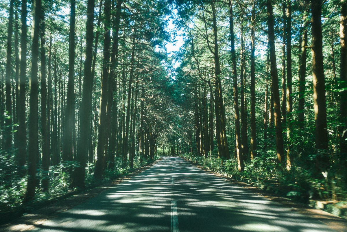 shintake_photo's tweet image. Little Happiness in Daily Life