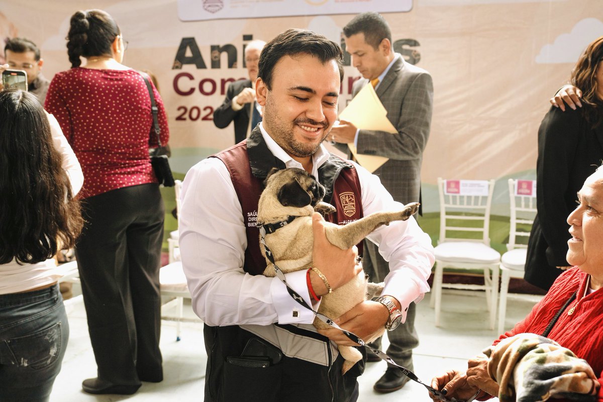 Realizamos una inversión histórica para nuestros perritos y gatitos de Tlalpan. 🐕 🐈‍⬛

Creamos la acción “Animales Comunitarios”, con la que realizaremos mil esterilizaciones gratuitas a perros y gatos que habitan en las colonias y pueblos de la alcaldía. ♥️

Por instrucción de