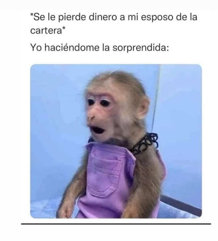 Jajaja 🤣🤣🤣🤣🤣