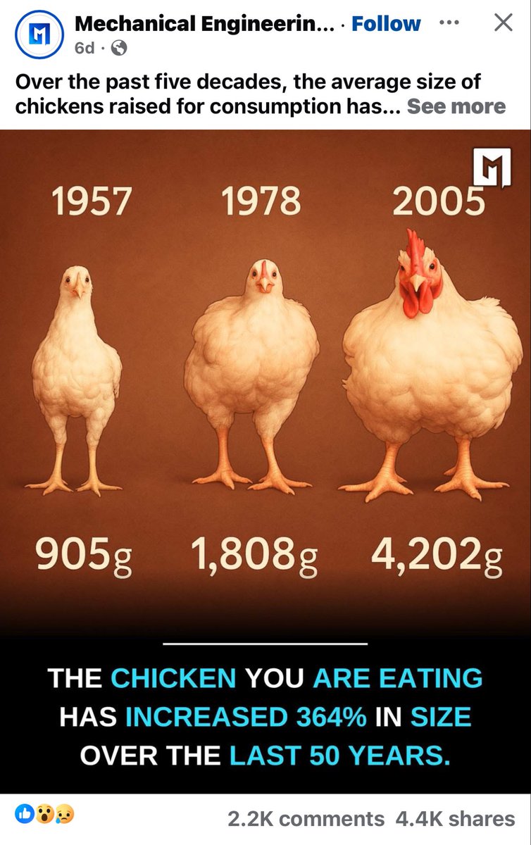 ninemehta's tweet image. Chickens can weigh around 1 kg as of 1957 and over 4 kg by 2005. The weight of chickens in 2025 is still unknown. This increase could be attributed to the use of drugs, steroids, and synthetic water. Once you eat them, it's up to your judgment on the implications of this.