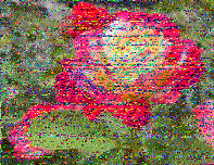ML_HH's tweet photo. @SWRadiogram Thanks for nice program today on 9265 kHz. Good reception into northern Germany, some crackling noise by static crashes, but still readable. 73 - Manfred https://t.co/4hoGd0MpxB