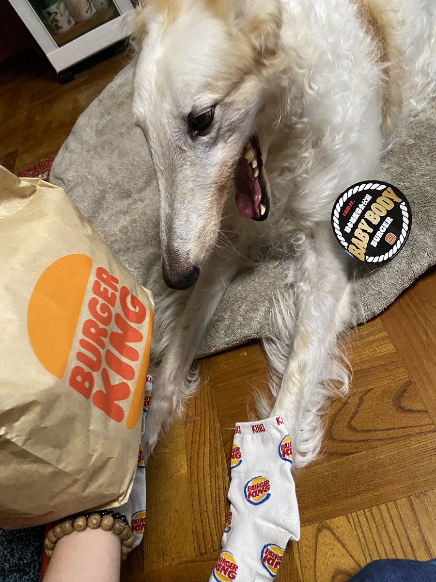 バーガーキングゾイ。がんぼるぞい。

translation:
BURGER KING ZOI