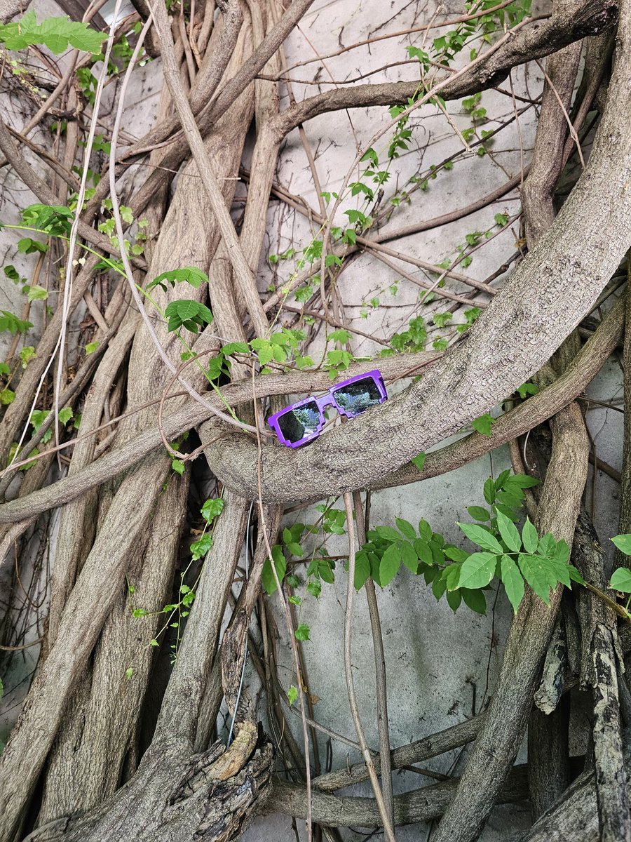 alexcrudie's tweet image. The #RockitGamingGlasses went for a 'walk' and got themselves stuck...