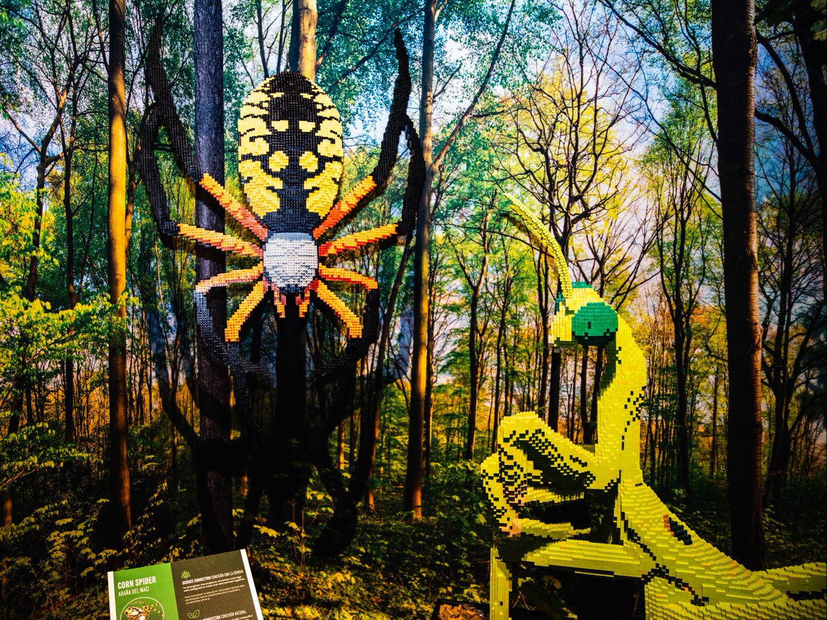 Springs Preserve (@springspreserve) on Twitter photo Travel from icy polar regions to bustling cities and lush forests, all recreated with millions of LEGOยฎ bricks. 
Brick Planet will spark your imagination and deepen your appreciation for our planet! ๐งฑ: springspreserve.org/events/?id=2483 Travel from icy polar regions to bustling cities and lush forests, all recreated with millions of LEGOยฎ bricks. 
Brick Planet will spark your imagination and deepen your appreciation for our planet! ๐งฑ: springspreserve.org/events/?id=2483