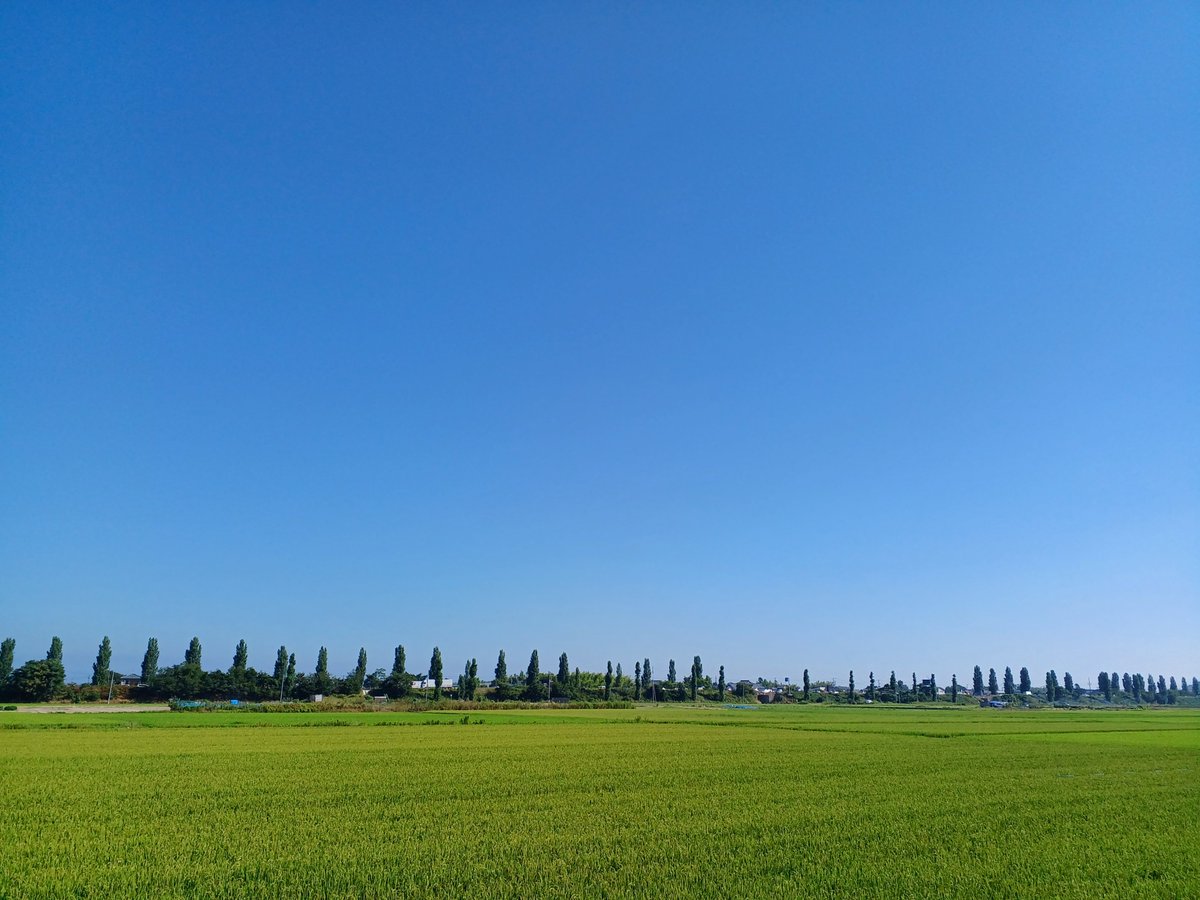 seihyo_jp's tweet image. おはようございます☀️
週のラスト金曜日、今日も一面青一色の夏空が広がる朝になりました🌻
今週は晴れ続きの、猛暑週間でしたね。夏バテしてないですか?
体調に気を付けて、今日も元気に頑張っていきましょう💪
#企業公式相互フォロー祭り
#企業公式夏のフォロー祭り…