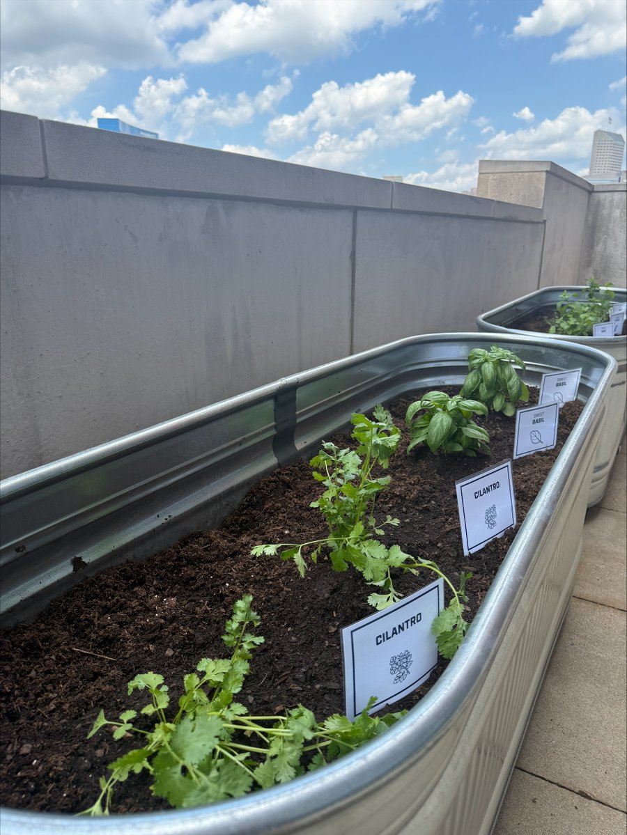 LucasOilStadium's tweet image. 🏟️ Continuing our campaign for your votes (you can vote on all your devices every day!) for us for @USATODAY Best NFL Stadium — and sharing another reason why we think we deserve your vote. 💪

🌿 Next up: Our on-site culinary garden, where fresh ingredients are grown just steps…