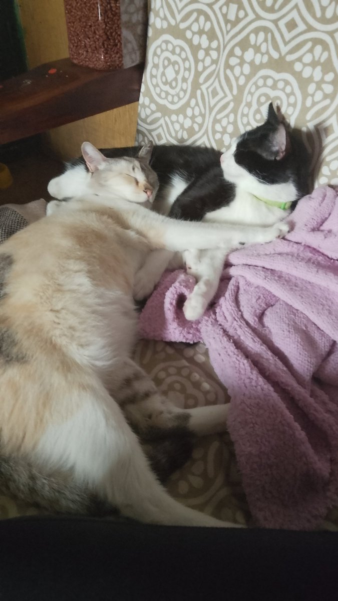 Heya Everyone! I AM back, i know that i've been quite inactive, but i have returned but not without trouble as My economy is dwindling in a diré moment, SO!....

I am making commissions, any commissions at the time so i can feed and attend My pets.

The goal is 500 Dollars.!