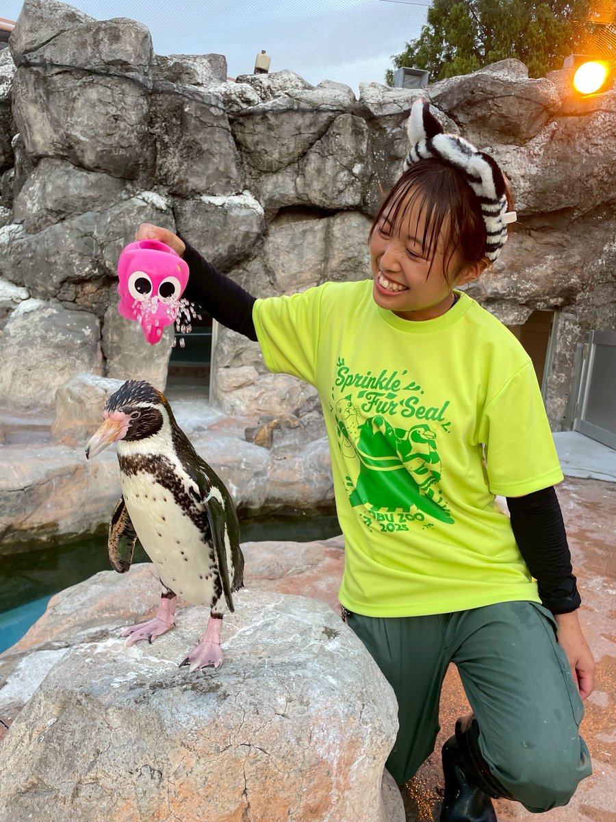 打ち水オットセイまであと1日!!🌊

いよいよ前日！🔥
濡れる準備万端！！
打ち水の本気をお楽しみに！！！
tobuzoo.com/event/8403.html
⚠️全身濡れます⚠️

#東武動物公園
#打ち水オットセイ
#Tシャツ販売中
#全身濡れても怒らないでね