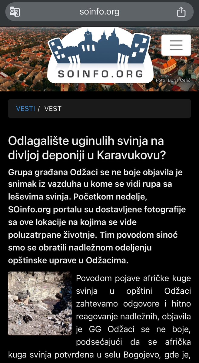 OtacPeranovic13's tweet image. Mrzi nas zapad bre,zakopavaju svoje mrtve svinje u Karavukovu, opština Odžaci.