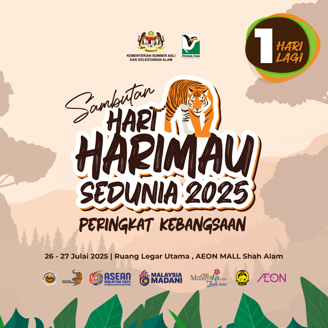 PERHILITAN's tweet image. 🐅 1 HARI LAGI! 🐅
Ayuh sertai kami dalam Sambutan Hari Harimau Sedunia 2025 Peringkat Kebangsaan! 🧡🐯
📅 Tarikh: 26 – 27 Julai 2025
📍 Lokasi: Ruang Legar Utama, AEON Mall Shah Alam
Pelbagai aktiviti menarik menanti anda