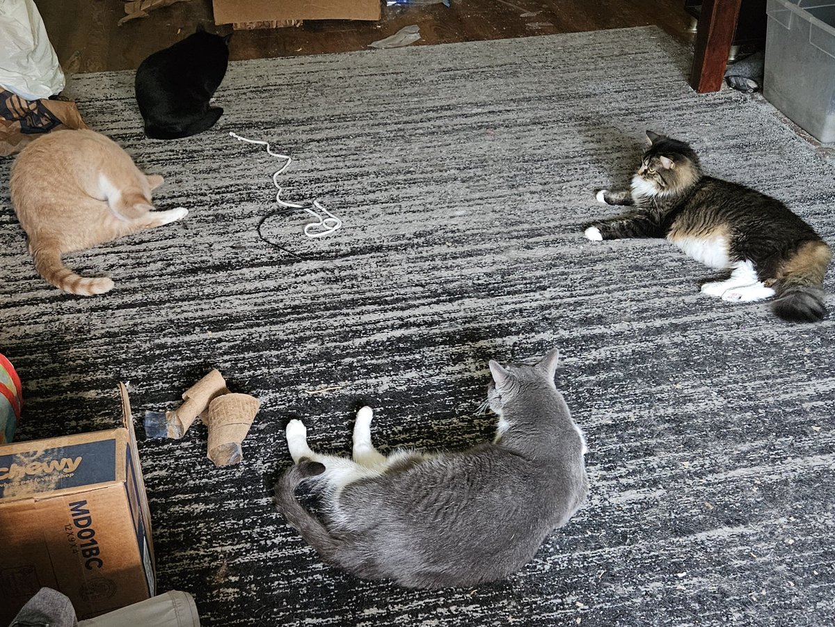 _cherryphobic's tweet image. Hanging out after dinner gang