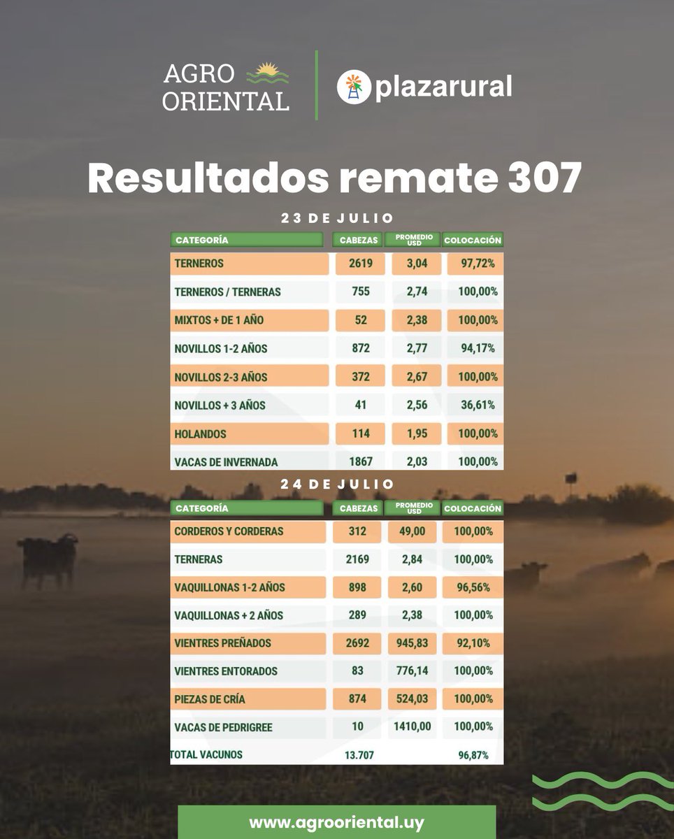 🔨 𝗥𝗘𝗠𝗔𝗧𝗘 𝟯𝟬𝟳 <a href="/plazarural/">plazarural</a>
Compartimos los resultados de los días 23 y 24 de julio.

AgroOriental, una nueva forma de ver el campo.
📲 Por más info: agrooriental.uy