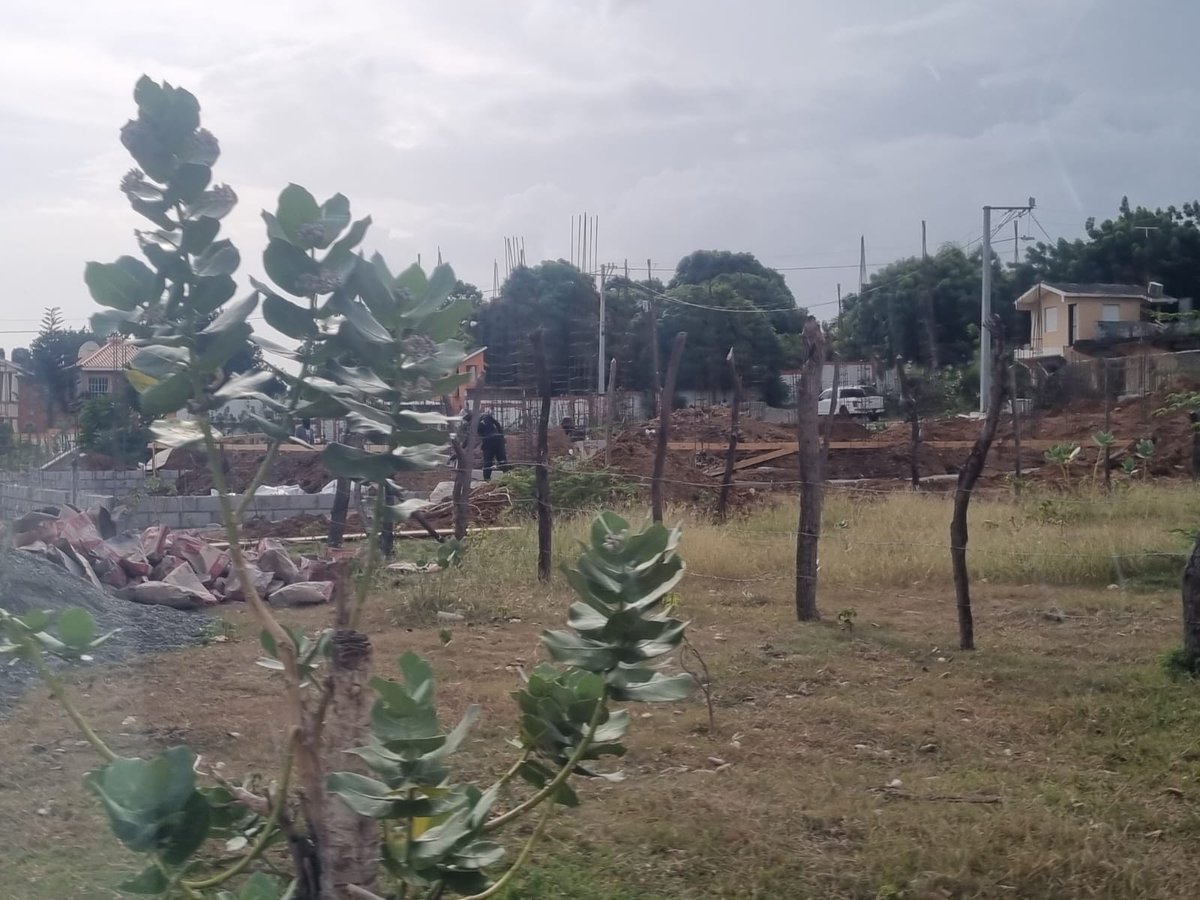 Héctor Gómez (@hgomez27) on Twitter photo Vladimir Guerrero Jr. is building houses to give to his childhood friends in his hometown of Don Gregorio, DR.
<a href="/BlueJays/">Toronto Blue Jays</a> Vladimir Guerrero Jr. is building houses to give to his childhood friends in his hometown of Don Gregorio, DR.
<a href="/BlueJays/">Toronto Blue Jays</a>