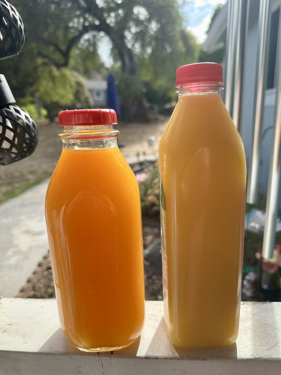 ifoundmetonight's tweet image. 🤔 store bought Organic non gmo, no pesticides orange juice on the right VS freshly squeezed 🍊 orange juice I just made on the left.
Something with color isn’t right here….