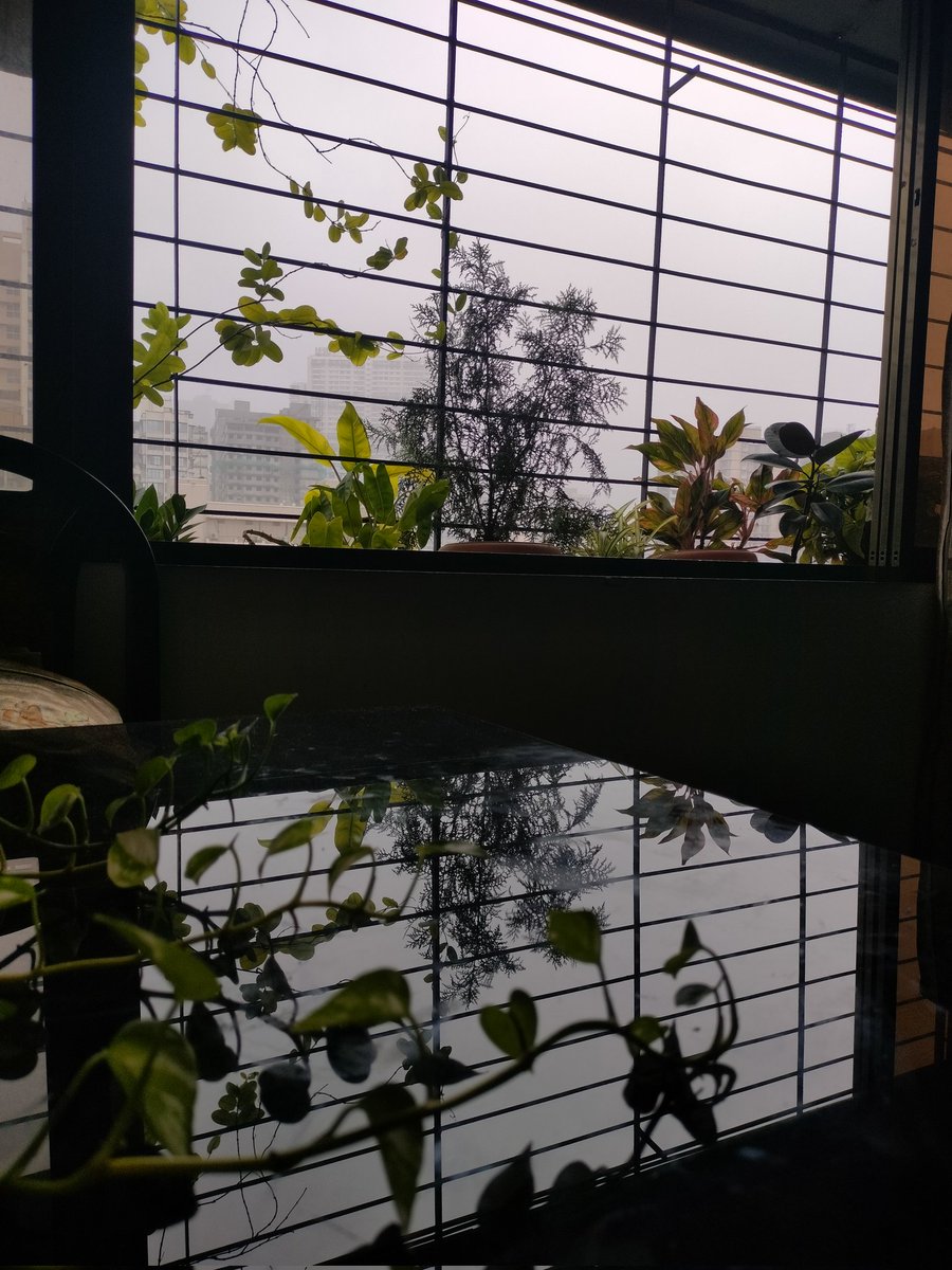 मौसम है आशिकाना.....
ए दिल ....🎵🎼🎶💚

#MumbaiRains
#theme_pic_India_monsoon