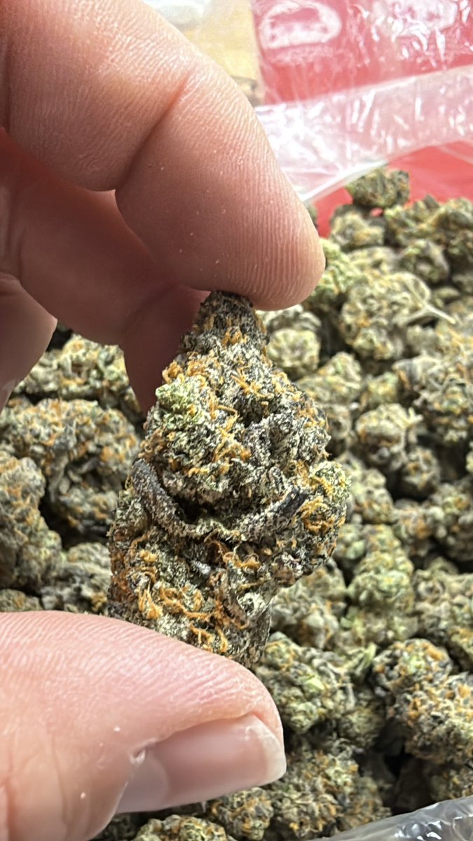 N.A.H. Rosin tweet media